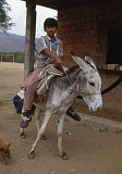 622_Jongen met ezel, Agua Blanca